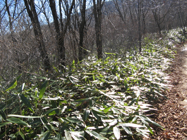 2008.11(kang wondo) 265.jpg
