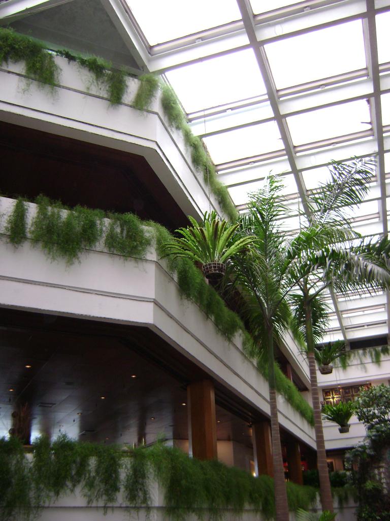 DSC02394.JPG