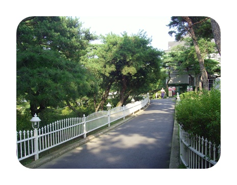 20090814_0161.JPG