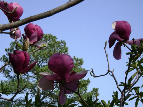 b-DSC03355.JPG