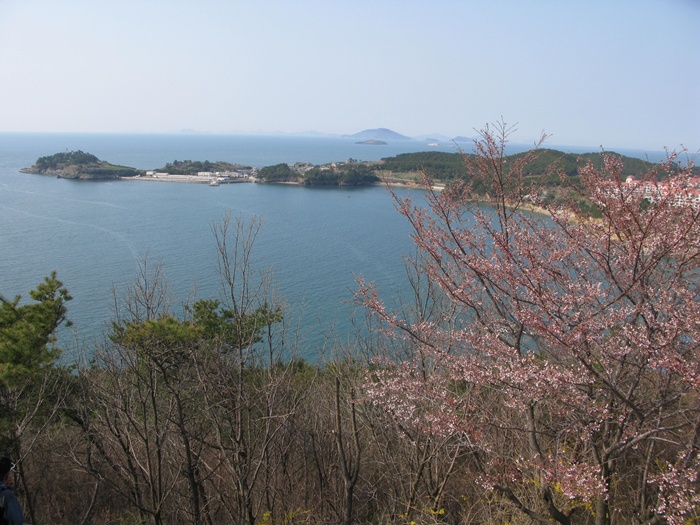 IMG_7351.JPG