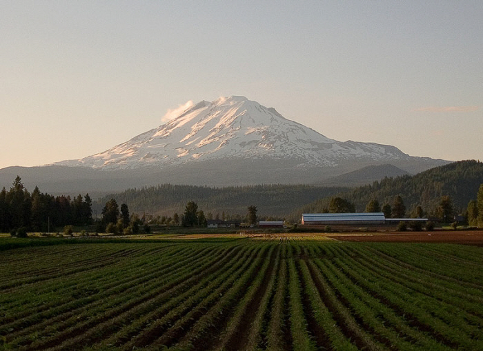 Mt. Adams.jpg