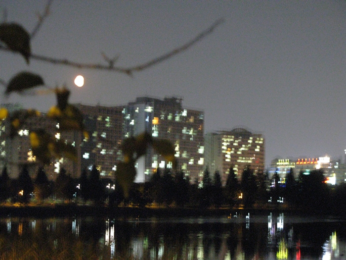 호수공원IMG_2128.JPG