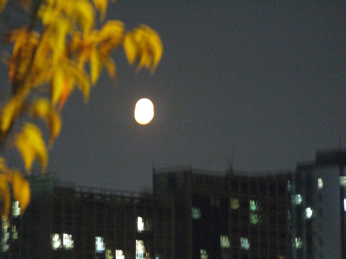호수공원IMG_2129.JPG
