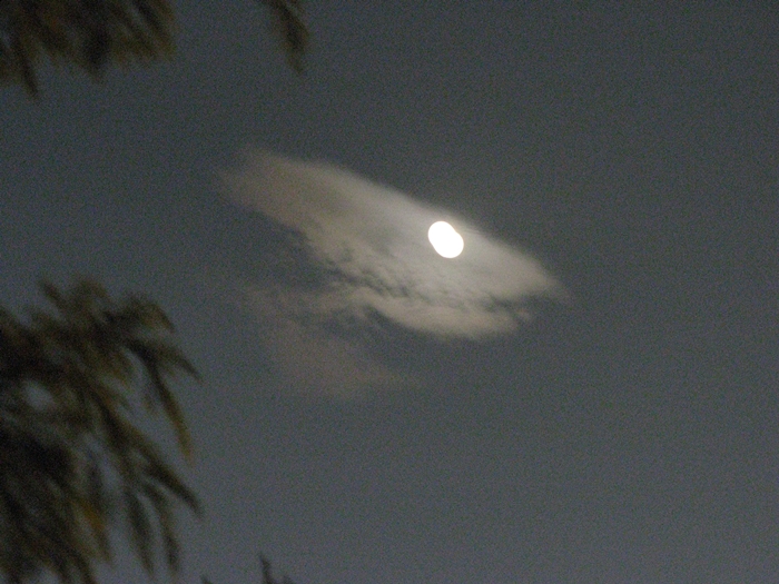 호수공원IMG_2152.JPG