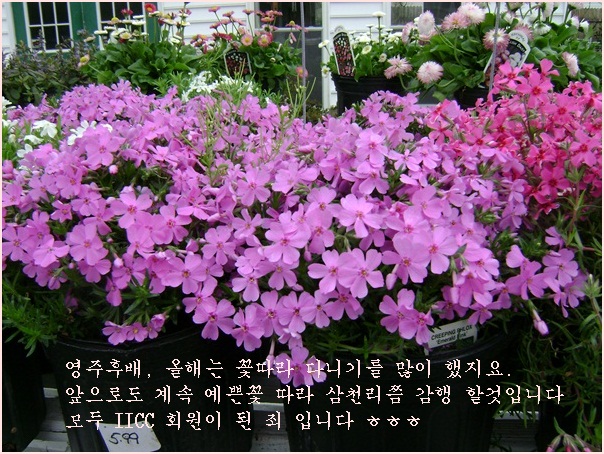 aa-DSC03556.JPG