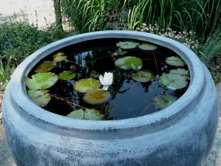 Garten am Stern 2.JPG