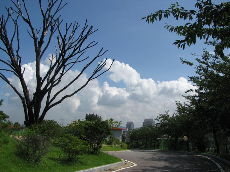 2010.9.4 024.jpg