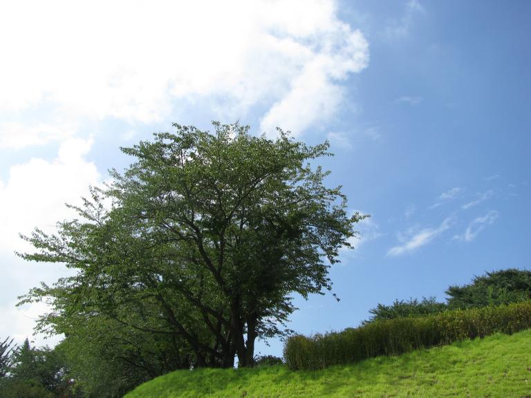 2010.9.4 077.jpg
