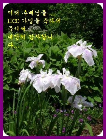 a-c-DSC00820.JPG