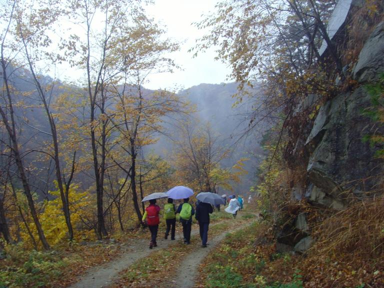 SNV38156.JPG