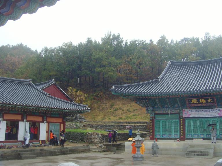 SNV38240.JPG