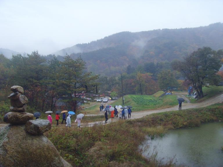 SNV38263.JPG