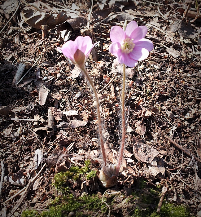 20130323_120656.jpg