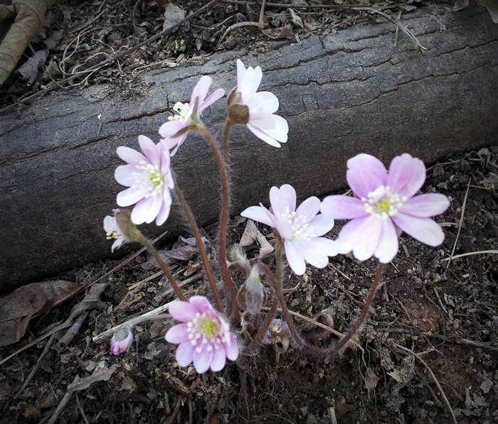 20130323_120831.jpg