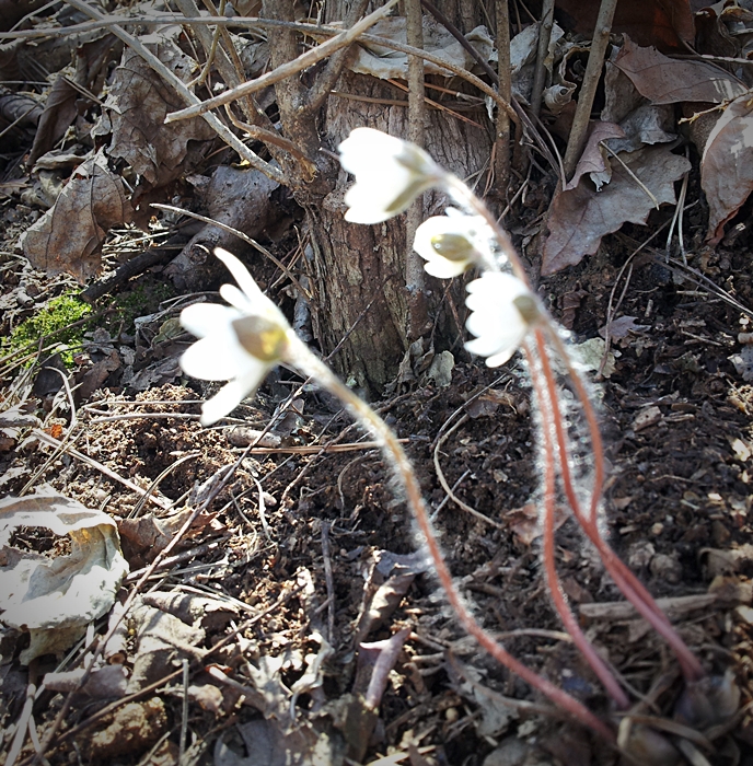 20130323_120911.jpg