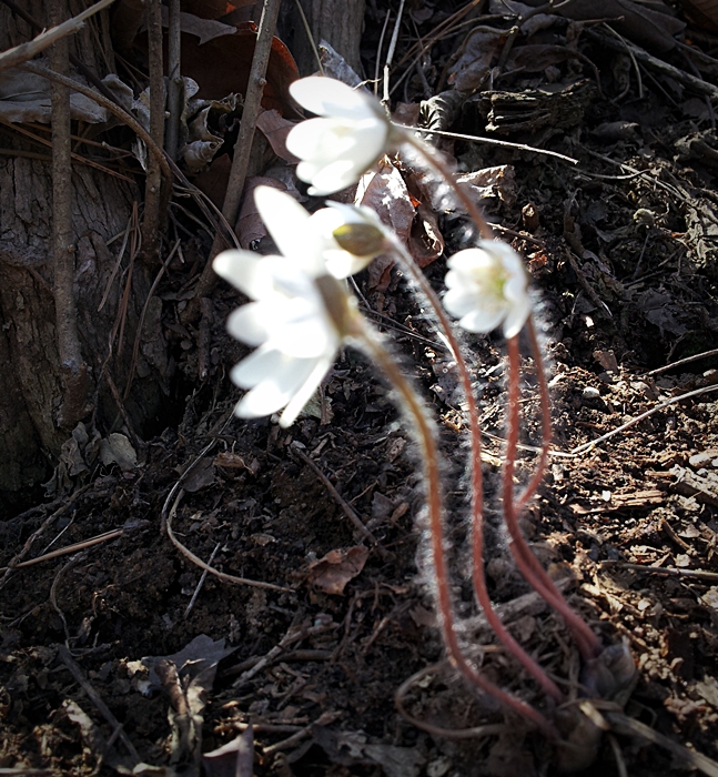 20130323_120919.jpg