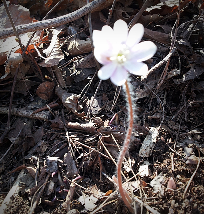 20130323_121009.jpg