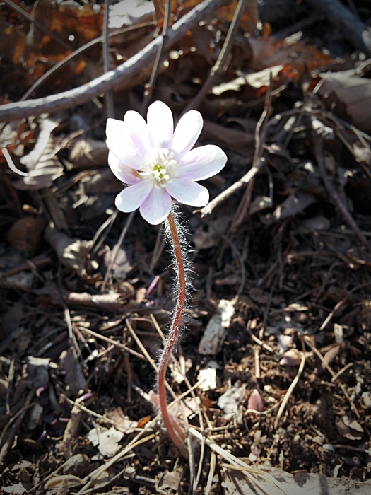 20130323_121016.jpg