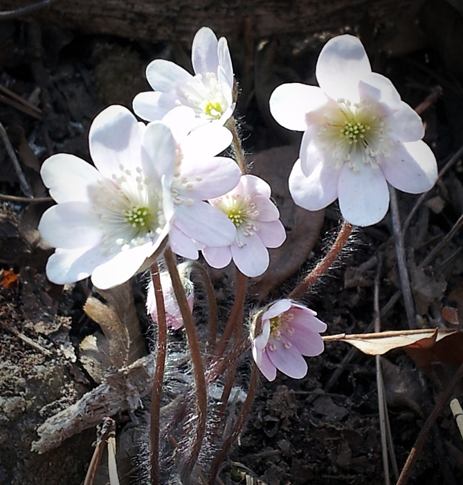 20130323_122732.jpg