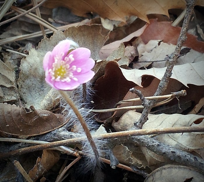 20130323_122932.jpg