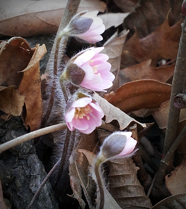 20130323_122942.jpg
