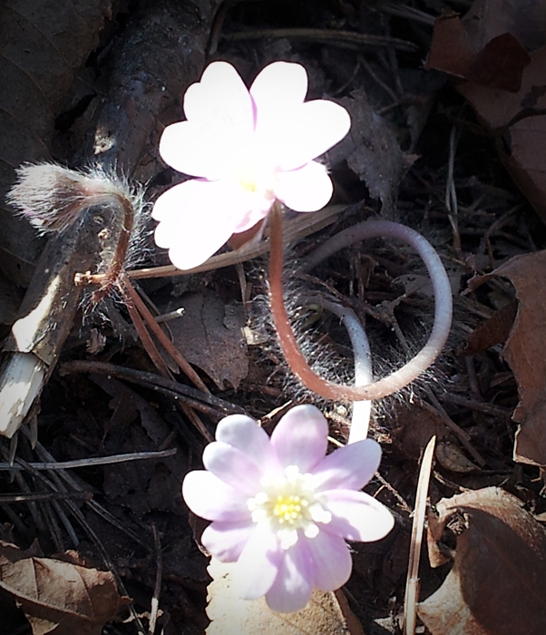 20130323_123136.jpg