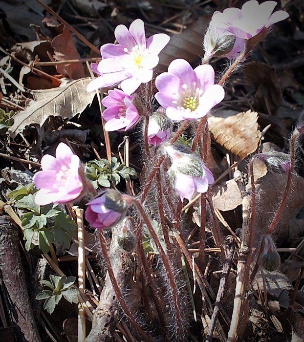 20130323_123455.jpg