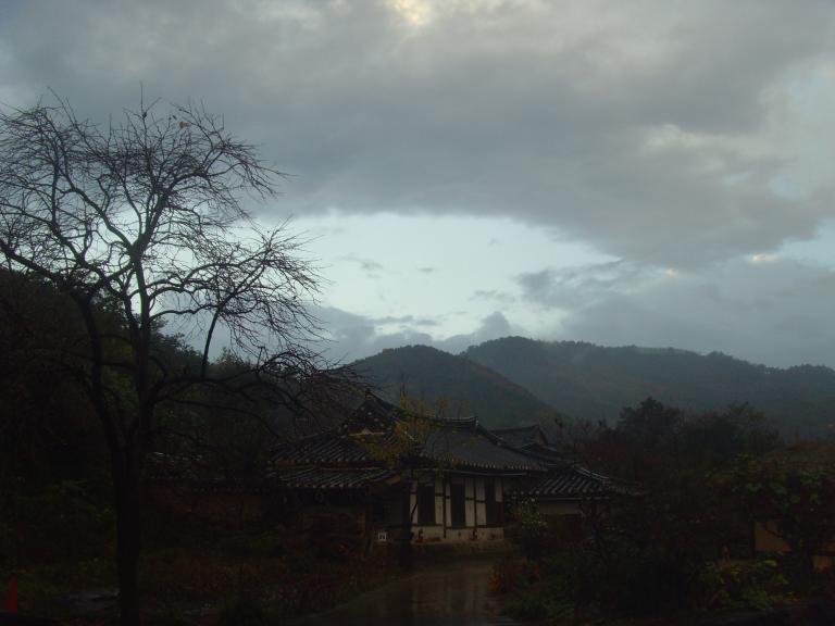SNV38297.JPG