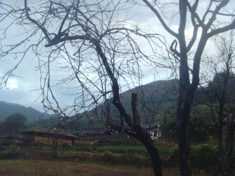 SNV38300.JPG