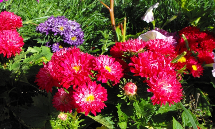 DSCF6368.JPG