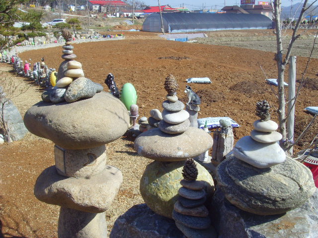 SNV35337.JPG