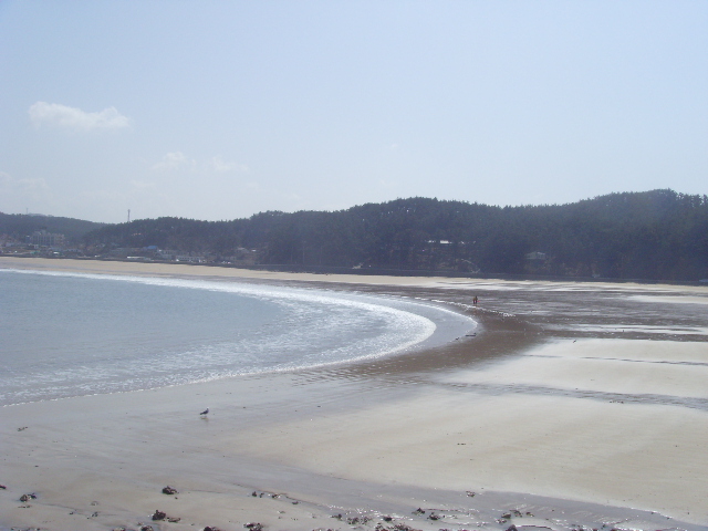 SNV35367.JPG