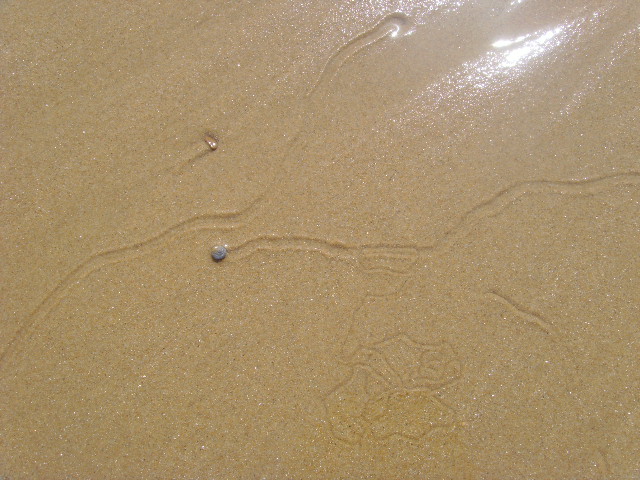 SNV35386.JPG