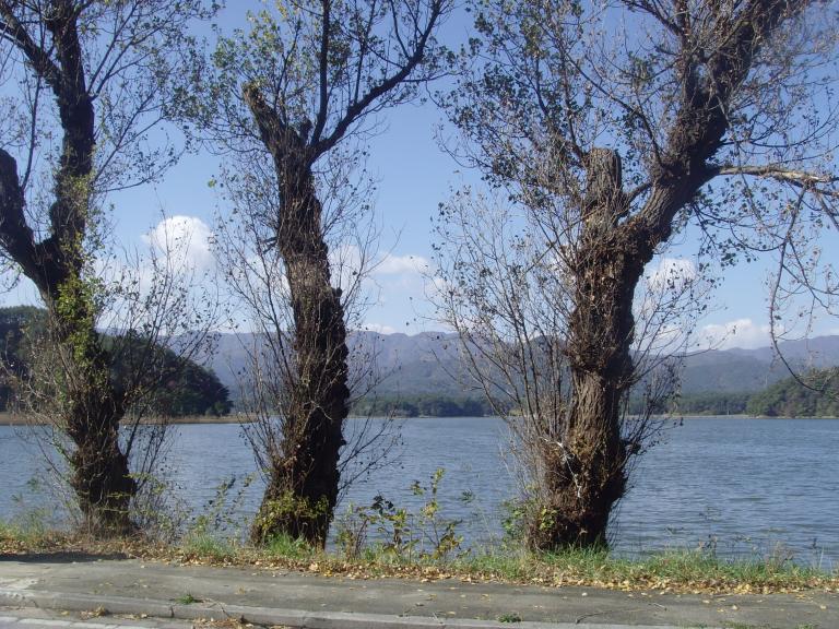 SNV38369.JPG