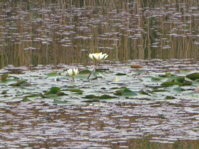 IMG_8429.JPG