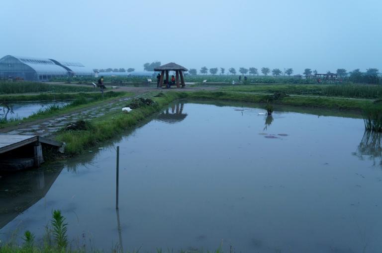 DSC01224-1.JPG