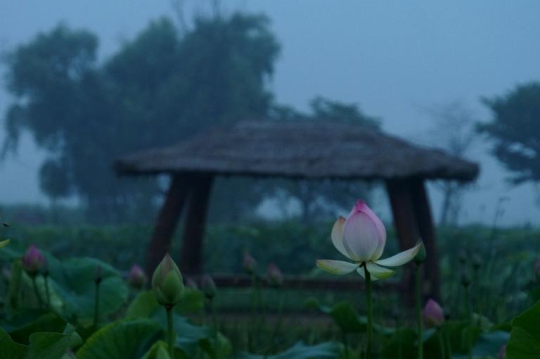 DSC01236-1.JPG