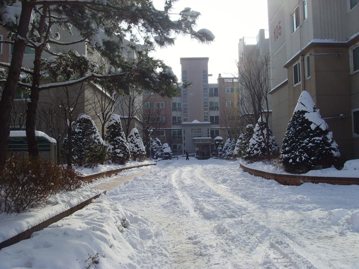 설경 034.jpg