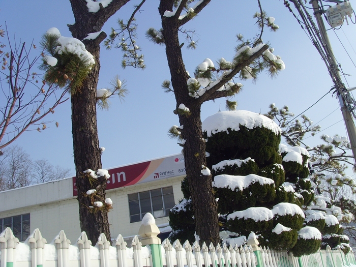 설경 040.jpg