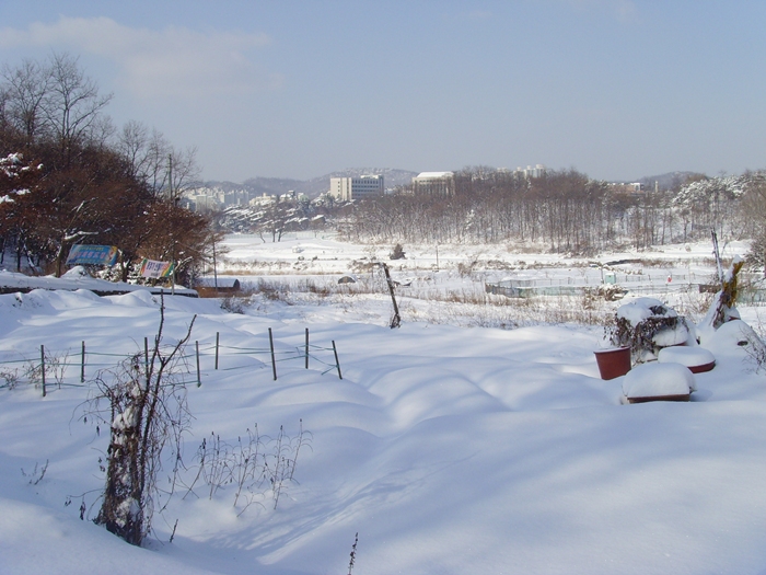 설경 061.jpg