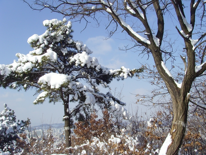 설경 088.jpg