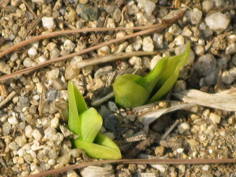 IMG_5402.JPG