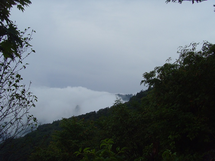 SNV37703.JPG