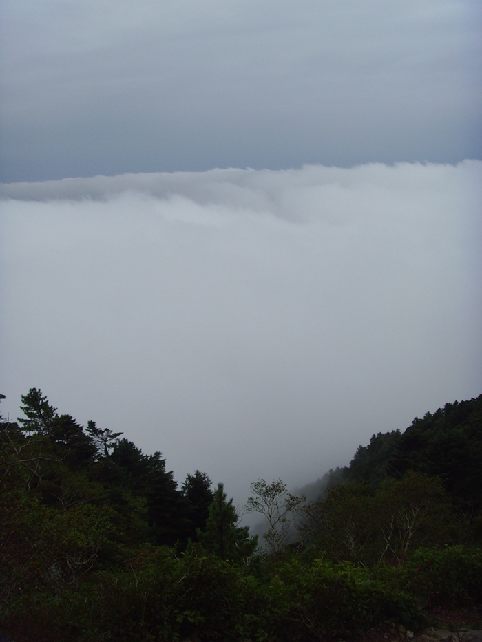 SNV37746.JPG