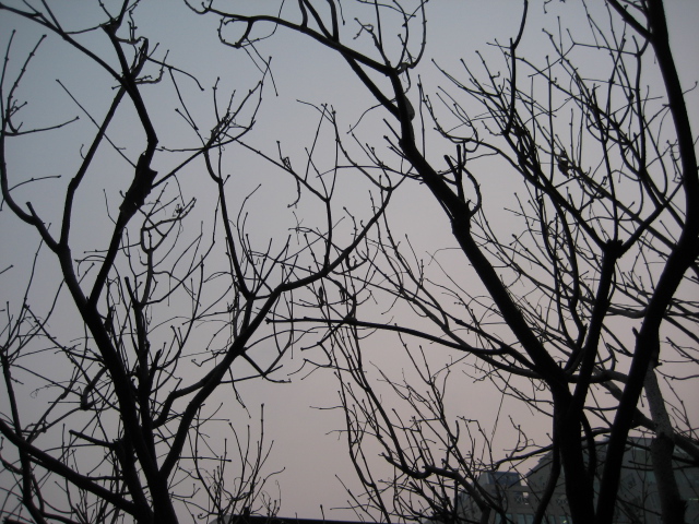 인일 011.jpg