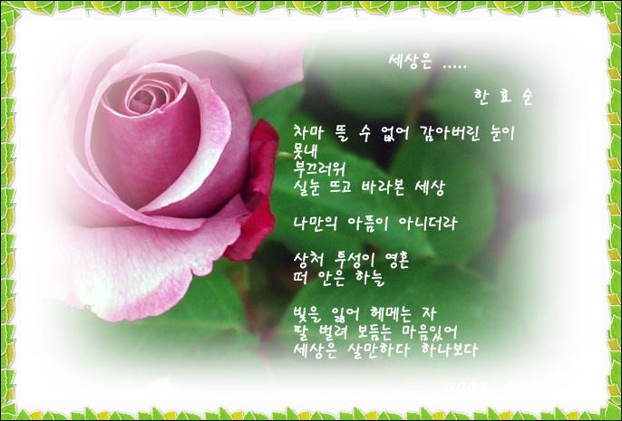 rose-3.jpg