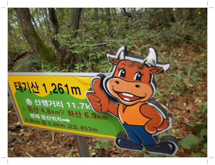 태시산 058.jpg