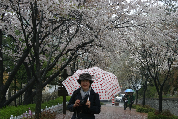iicc20130425-8.JPG