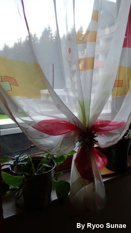KakaoTalk_20140511_153330920.jpg